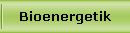 Bioenergetik