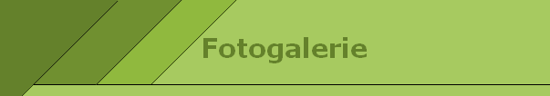 Fotogalerie